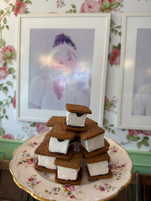Mini S'mores (1 dozen)